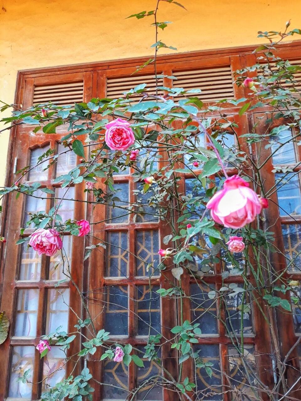Thanh Ha Homestay Sapa Экстерьер фото